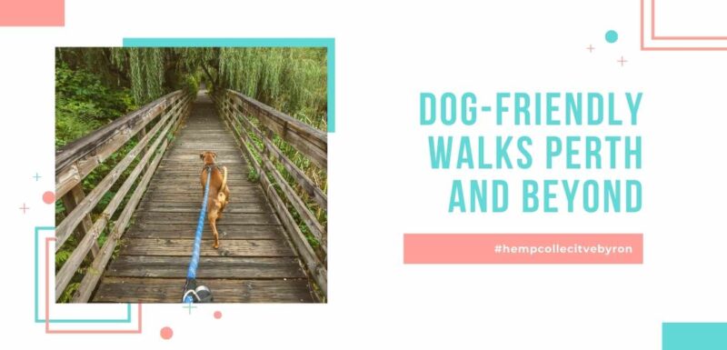 The Best Dog-Friendly Walks Around Australia - Hemp Collective