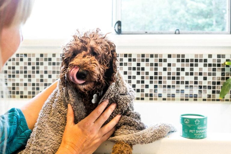 Natural Pet Shampoo Origin crafted by Hemp CollectiveHemp Collective